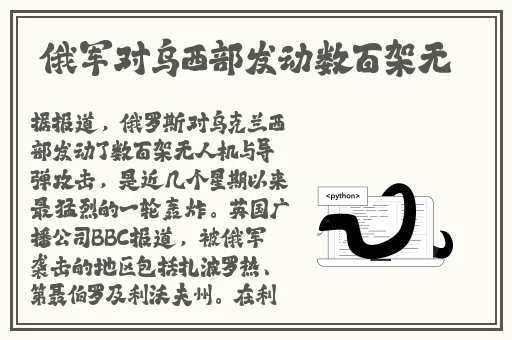 深圳城中村夜晚探店300快餐